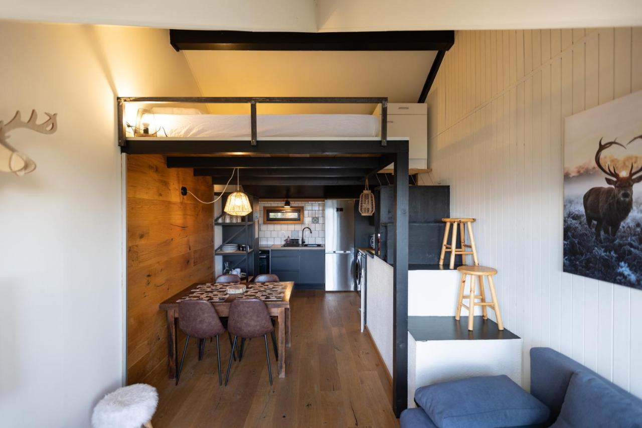 レ・ザングルLe Cerf - Duplex Avec Superbe Vue Montagneアパートメント エクステリア 写真
